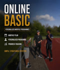 Online Basic
