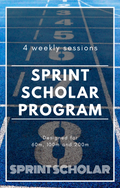 The Sprint Scholar Programme